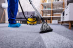 person cleaning carpet in home